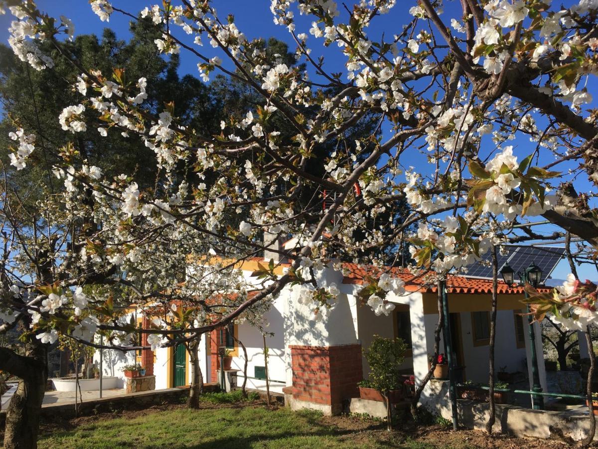 Willa Casas De Campo Em Cerejal Fundão Zewnętrze zdjęcie